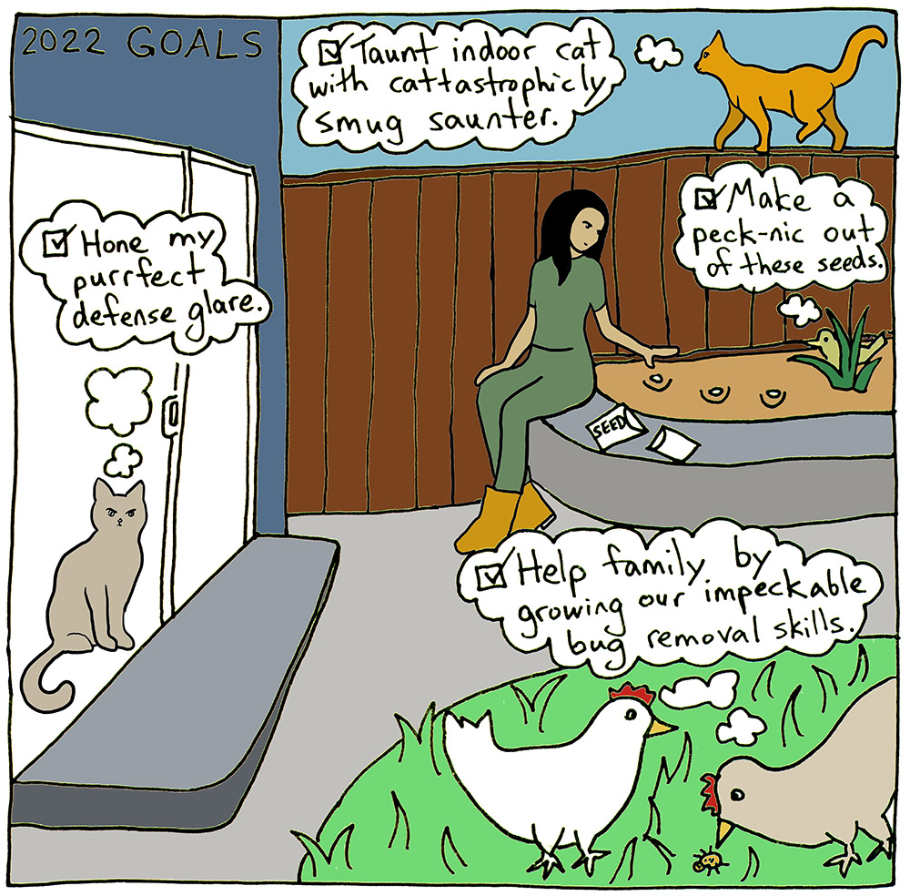 Animals Making Resolutions